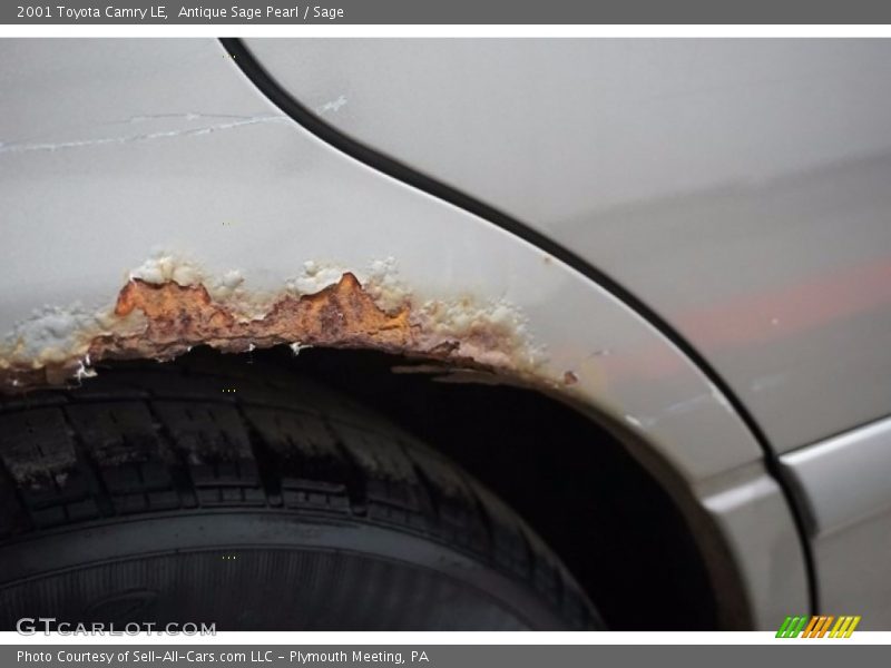 Antique Sage Pearl / Sage 2001 Toyota Camry LE