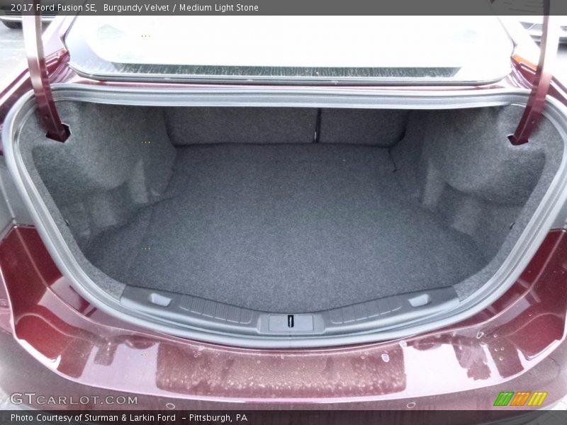 Burgundy Velvet / Medium Light Stone 2017 Ford Fusion SE