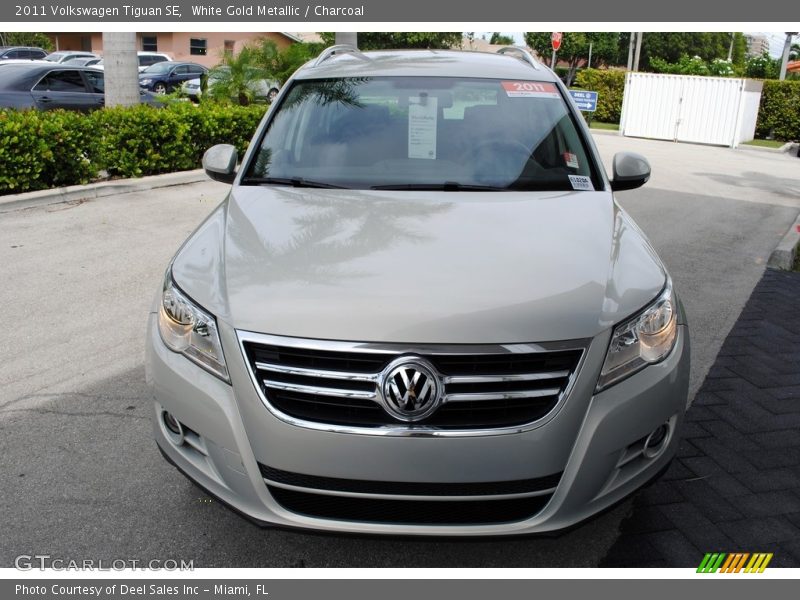 White Gold Metallic / Charcoal 2011 Volkswagen Tiguan SE