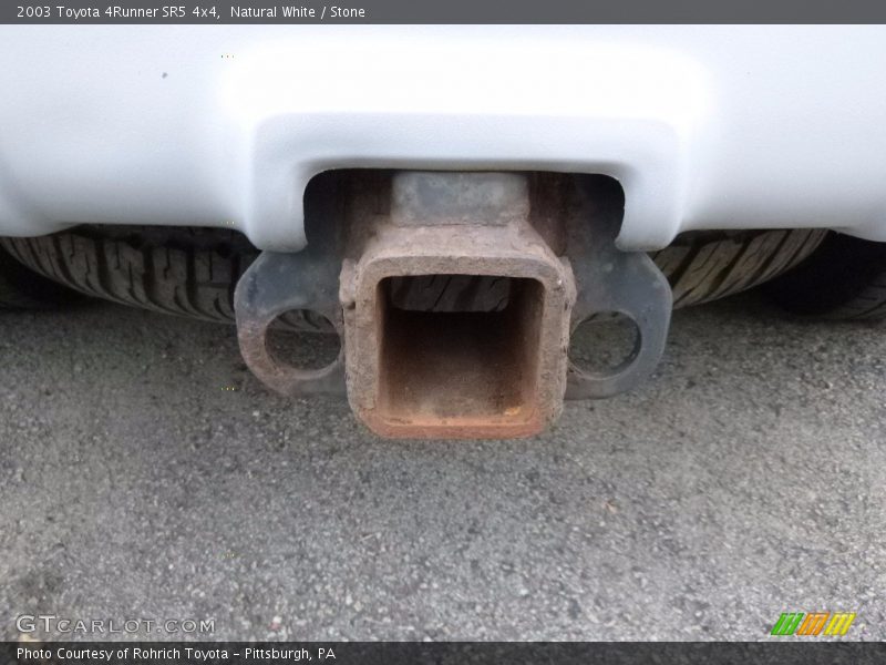 Natural White / Stone 2003 Toyota 4Runner SR5 4x4