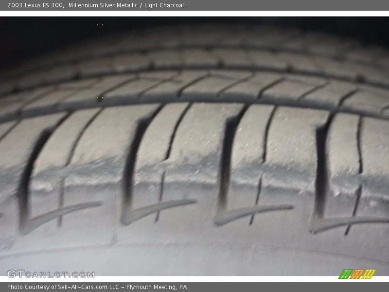 Millennium Silver Metallic / Light Charcoal 2003 Lexus ES 300