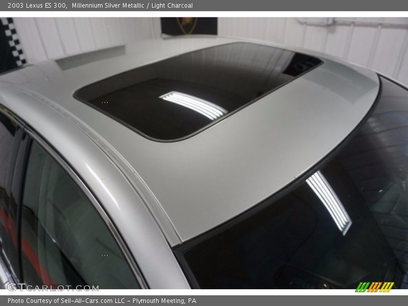 Millennium Silver Metallic / Light Charcoal 2003 Lexus ES 300