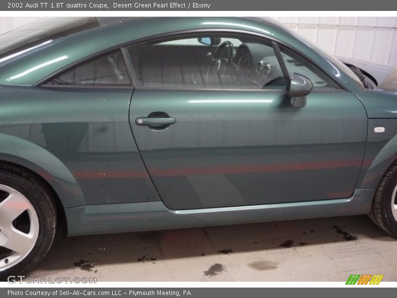 Desert Green Pearl Effect / Ebony 2002 Audi TT 1.8T quattro Coupe