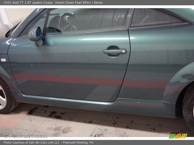 Desert Green Pearl Effect / Ebony 2002 Audi TT 1.8T quattro Coupe