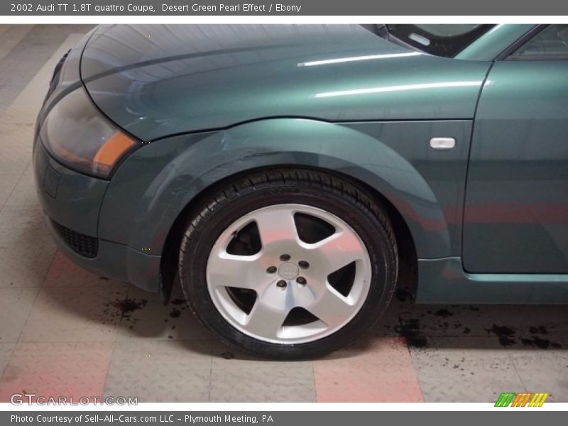 Desert Green Pearl Effect / Ebony 2002 Audi TT 1.8T quattro Coupe