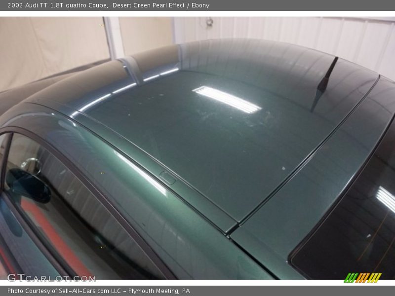 Desert Green Pearl Effect / Ebony 2002 Audi TT 1.8T quattro Coupe