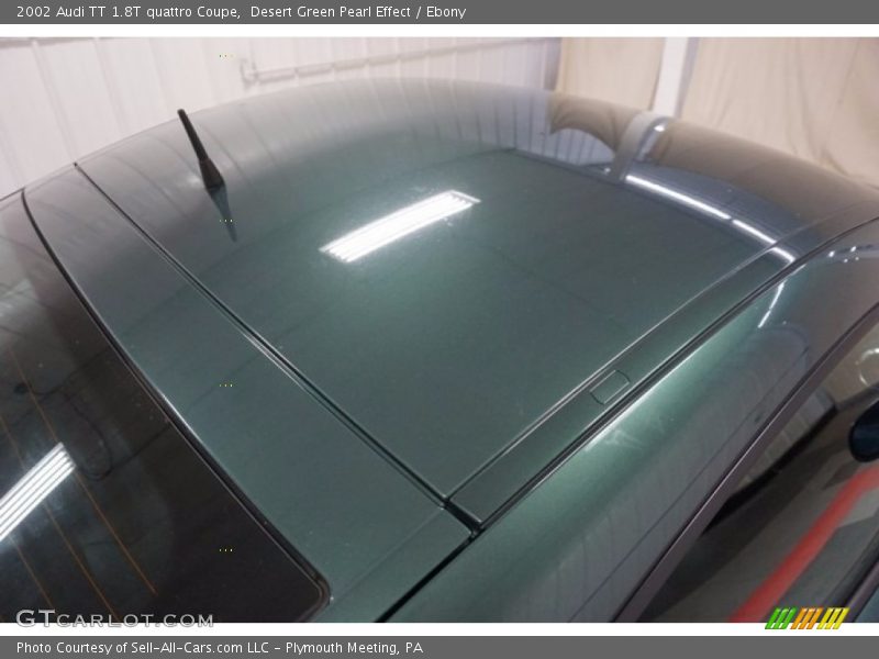 Desert Green Pearl Effect / Ebony 2002 Audi TT 1.8T quattro Coupe