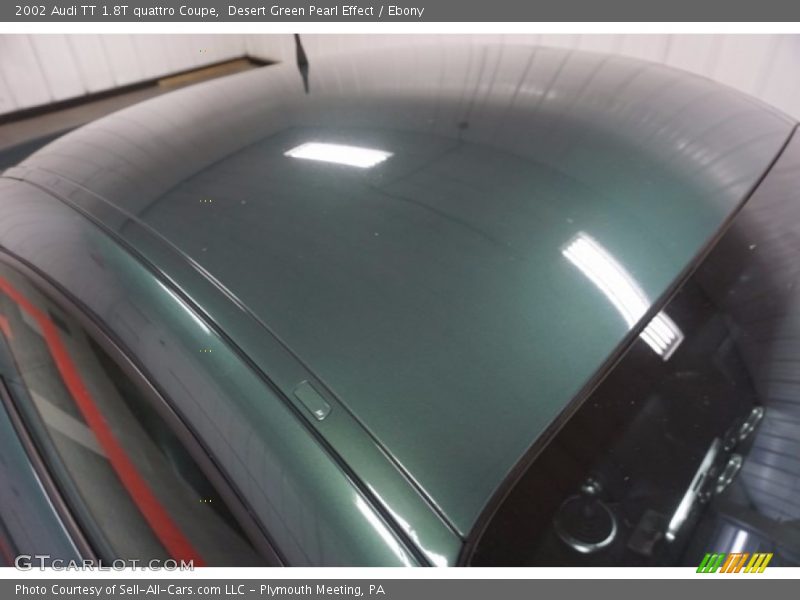 Desert Green Pearl Effect / Ebony 2002 Audi TT 1.8T quattro Coupe