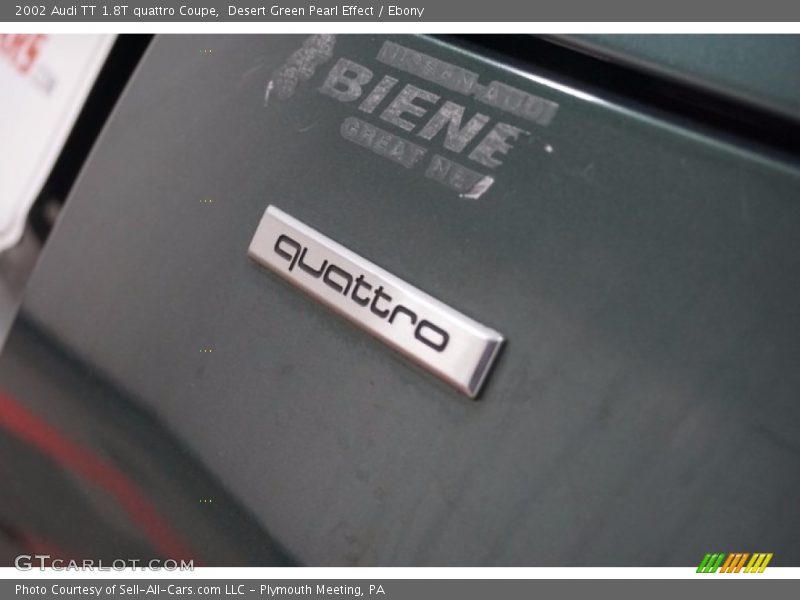 Desert Green Pearl Effect / Ebony 2002 Audi TT 1.8T quattro Coupe