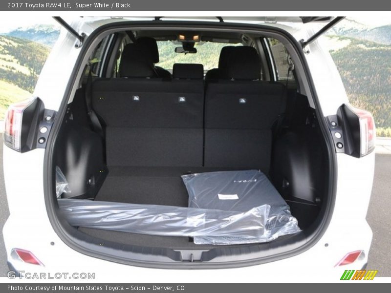 Super White / Black 2017 Toyota RAV4 LE