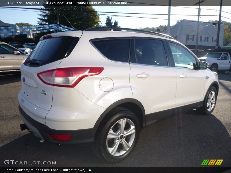 White Platinum / Charcoal Black 2014 Ford Escape SE 2.0L EcoBoost 4WD