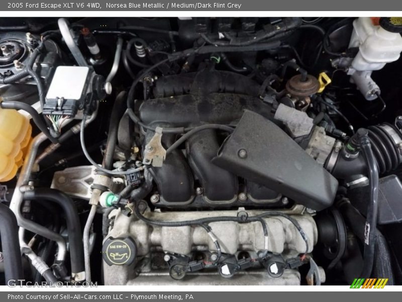 Norsea Blue Metallic / Medium/Dark Flint Grey 2005 Ford Escape XLT V6 4WD