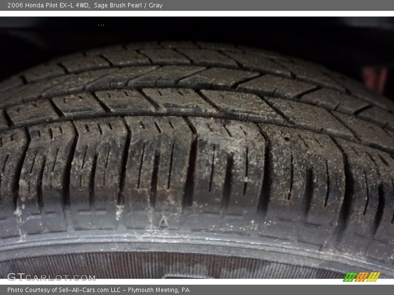 Sage Brush Pearl / Gray 2006 Honda Pilot EX-L 4WD