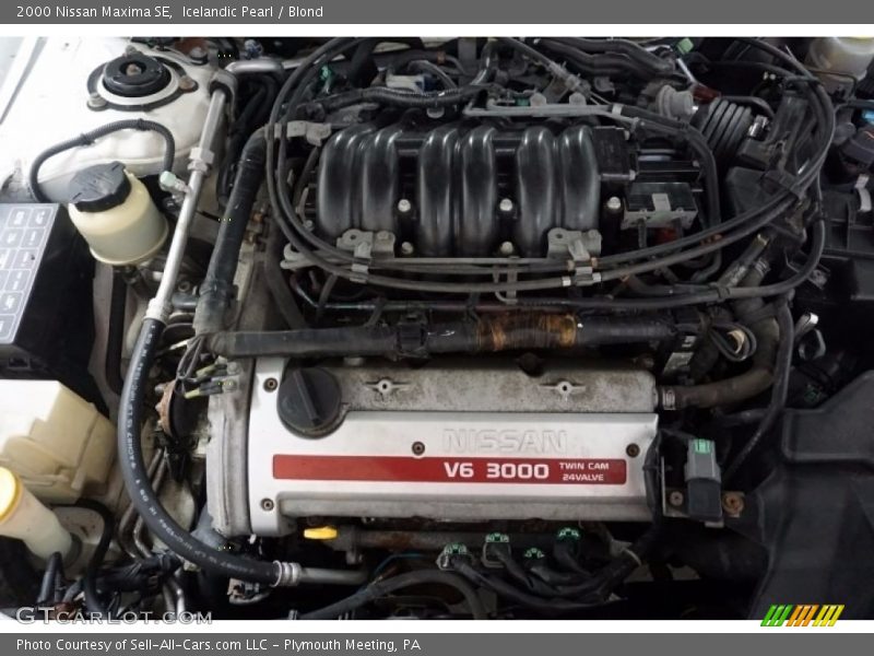 Icelandic Pearl / Blond 2000 Nissan Maxima SE