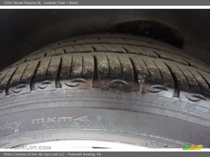 Icelandic Pearl / Blond 2000 Nissan Maxima SE
