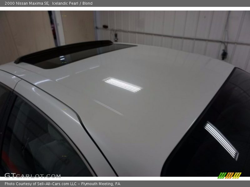 Icelandic Pearl / Blond 2000 Nissan Maxima SE