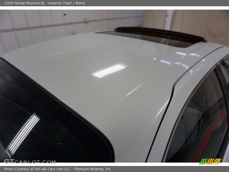 Icelandic Pearl / Blond 2000 Nissan Maxima SE
