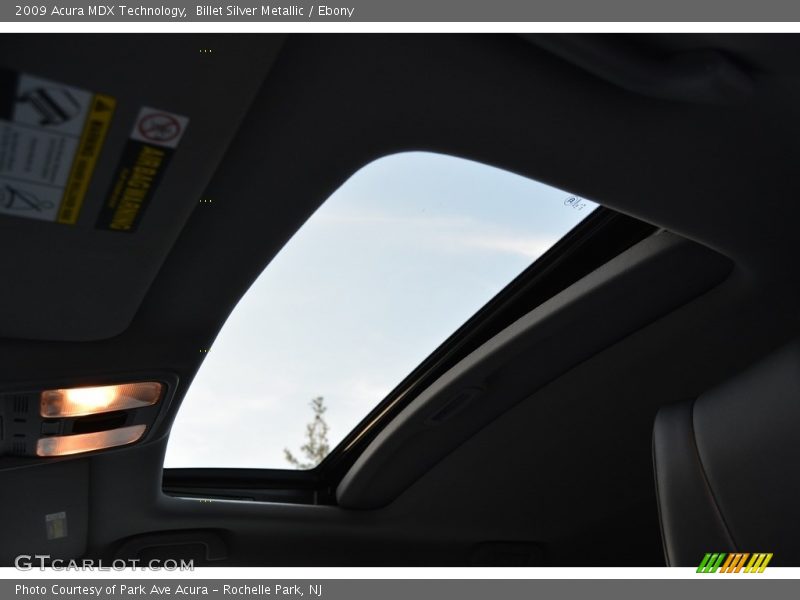 Billet Silver Metallic / Ebony 2009 Acura MDX Technology