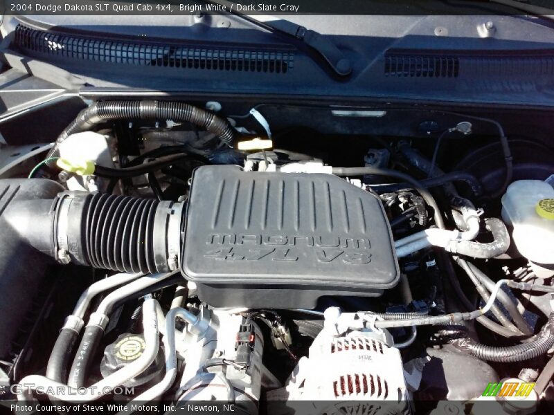 Bright White / Dark Slate Gray 2004 Dodge Dakota SLT Quad Cab 4x4