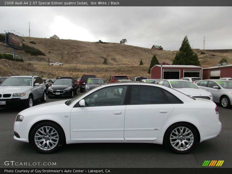 Ibis White / Black 2008 Audi A4 2.0T Special Edition quattro Sedan