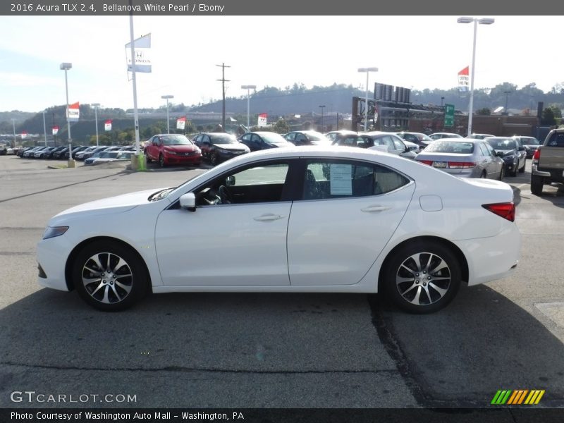 Bellanova White Pearl / Ebony 2016 Acura TLX 2.4