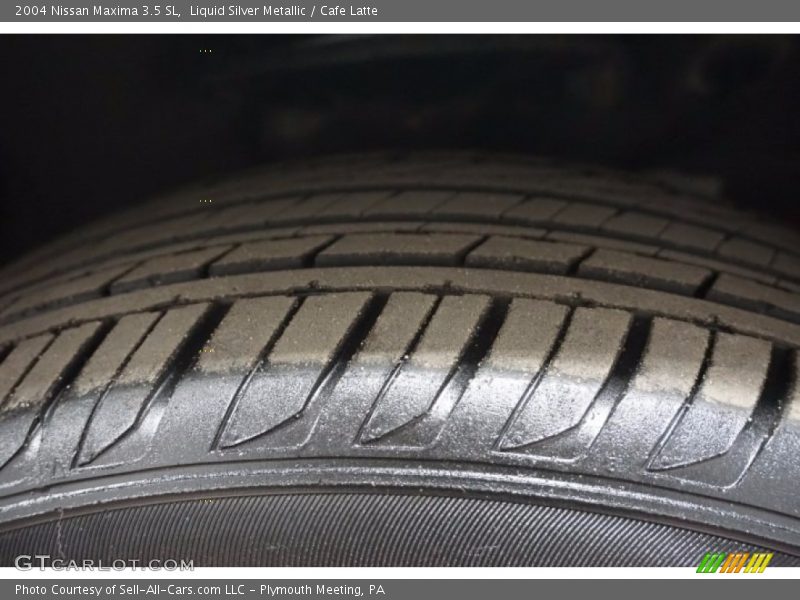 Liquid Silver Metallic / Cafe Latte 2004 Nissan Maxima 3.5 SL