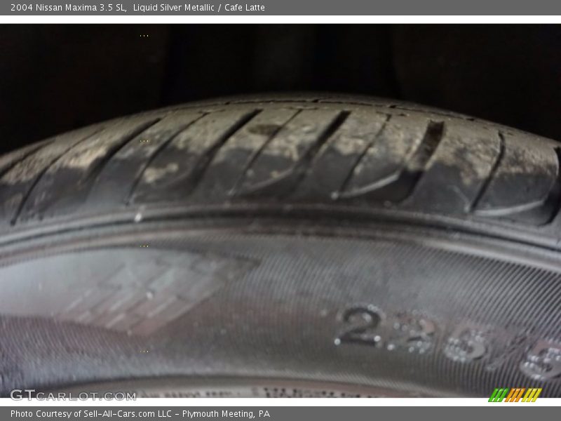 Liquid Silver Metallic / Cafe Latte 2004 Nissan Maxima 3.5 SL