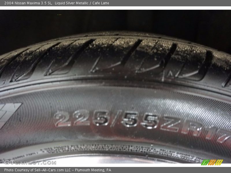 Liquid Silver Metallic / Cafe Latte 2004 Nissan Maxima 3.5 SL