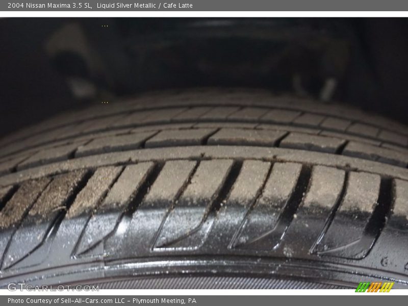 Liquid Silver Metallic / Cafe Latte 2004 Nissan Maxima 3.5 SL