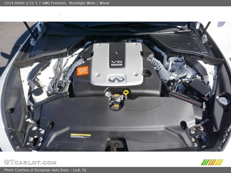 Moonlight White / Wheat 2014 Infiniti Q 50 3.7 AWD Premium