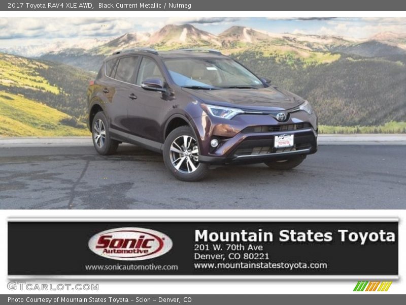 Black Current Metallic / Nutmeg 2017 Toyota RAV4 XLE AWD