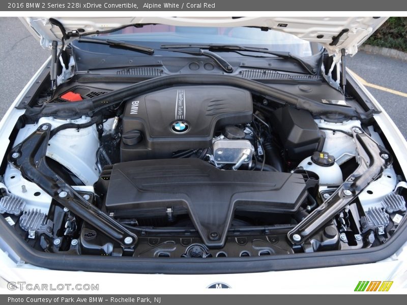 Alpine White / Coral Red 2016 BMW 2 Series 228i xDrive Convertible