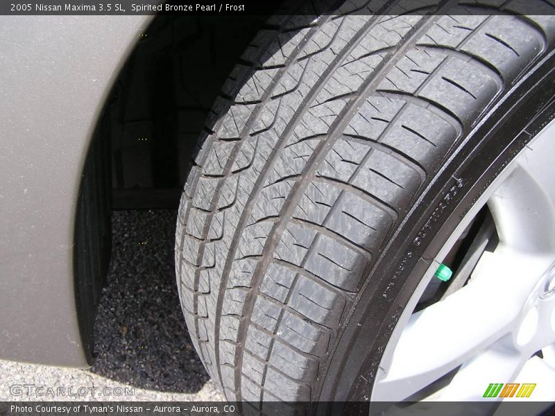 Spirited Bronze Pearl / Frost 2005 Nissan Maxima 3.5 SL