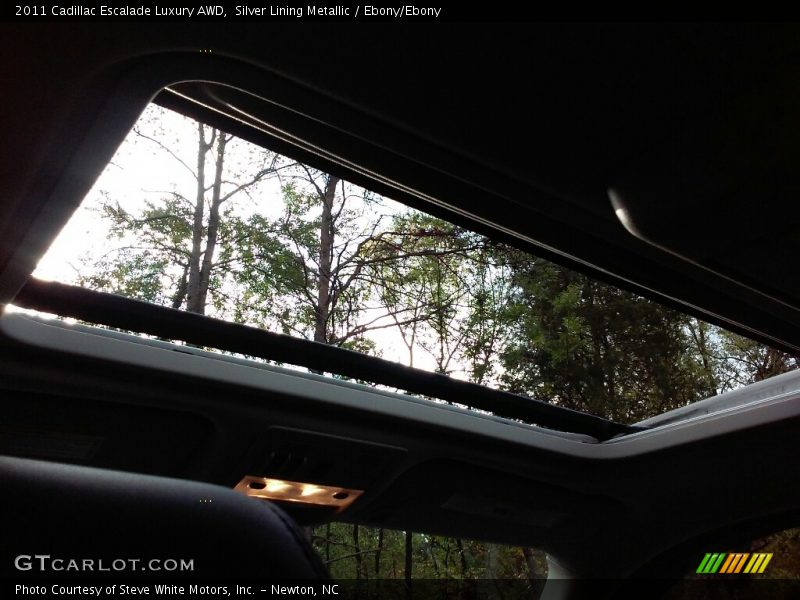 Silver Lining Metallic / Ebony/Ebony 2011 Cadillac Escalade Luxury AWD