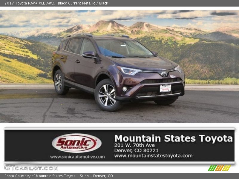 Black Current Metallic / Black 2017 Toyota RAV4 XLE AWD