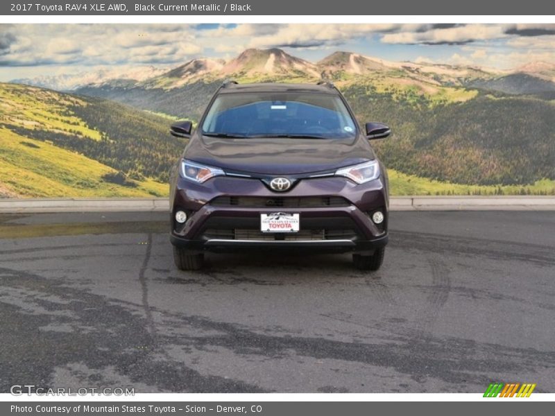 Black Current Metallic / Black 2017 Toyota RAV4 XLE AWD