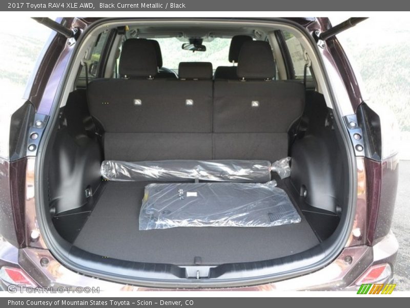 Black Current Metallic / Black 2017 Toyota RAV4 XLE AWD