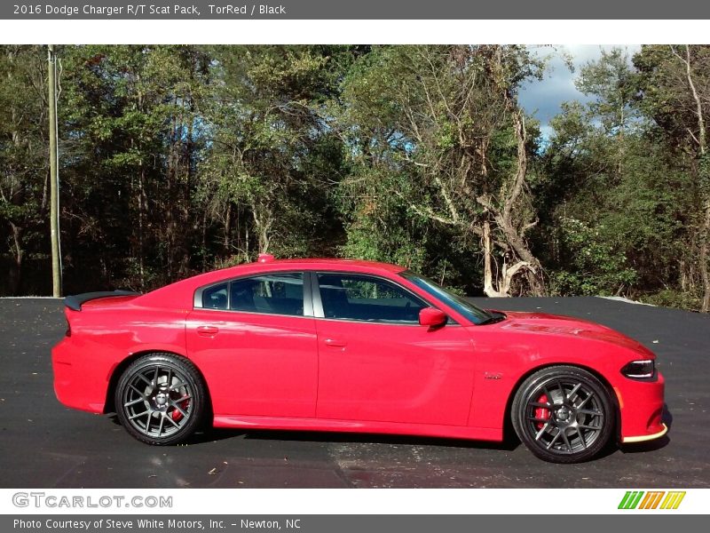 TorRed / Black 2016 Dodge Charger R/T Scat Pack