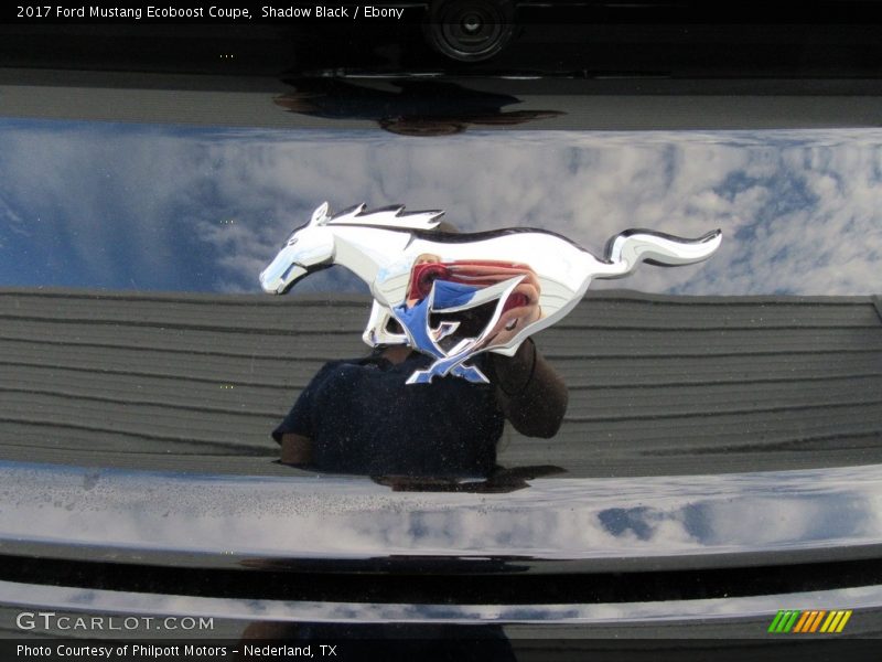 Shadow Black / Ebony 2017 Ford Mustang Ecoboost Coupe