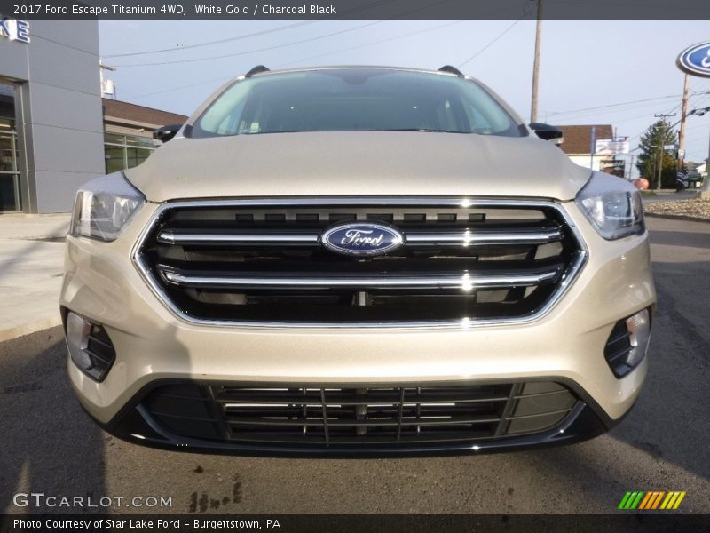 White Gold / Charcoal Black 2017 Ford Escape Titanium 4WD