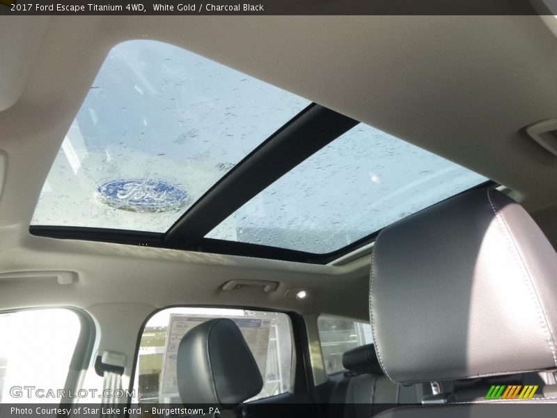 White Gold / Charcoal Black 2017 Ford Escape Titanium 4WD