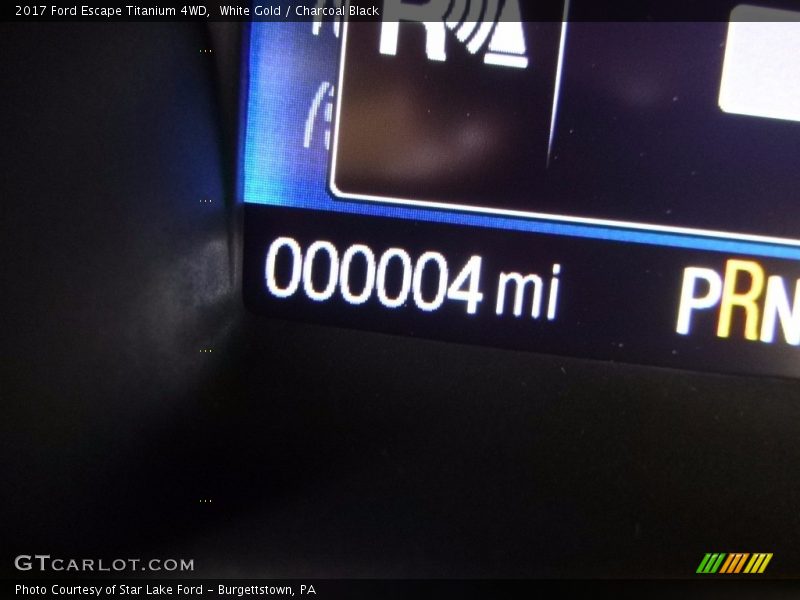 White Gold / Charcoal Black 2017 Ford Escape Titanium 4WD