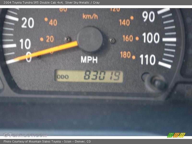 Silver Sky Metallic / Gray 2004 Toyota Tundra SR5 Double Cab 4x4