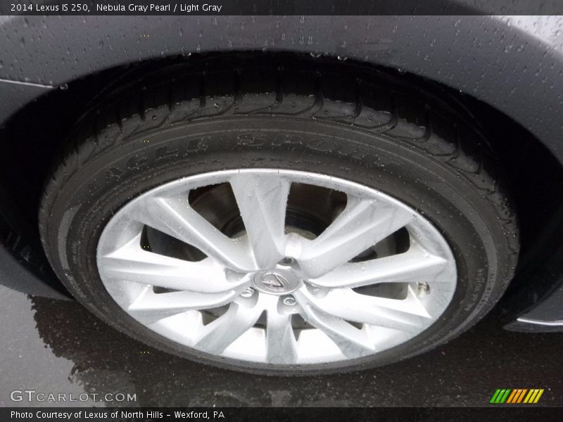 Nebula Gray Pearl / Light Gray 2014 Lexus IS 250