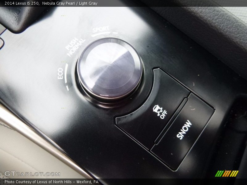 Nebula Gray Pearl / Light Gray 2014 Lexus IS 250