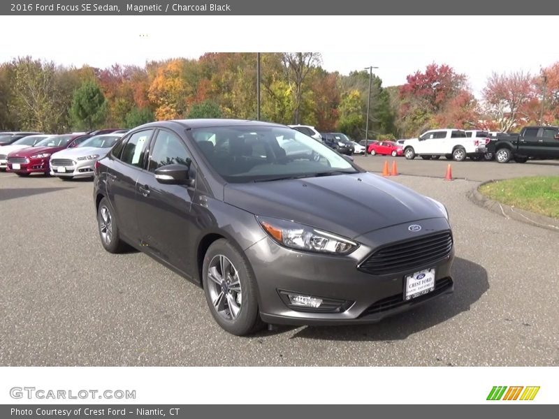 Magnetic / Charcoal Black 2016 Ford Focus SE Sedan