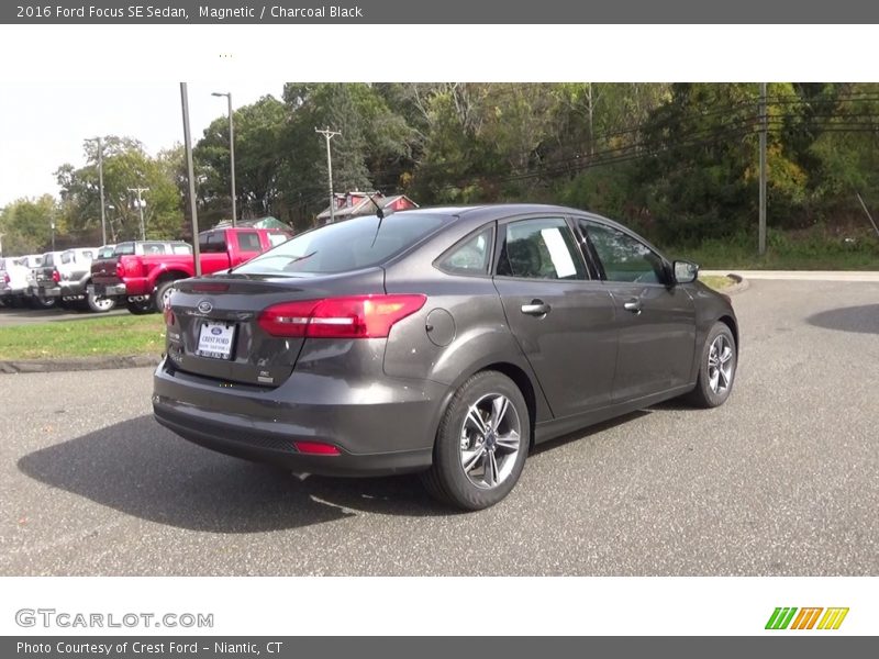 Magnetic / Charcoal Black 2016 Ford Focus SE Sedan