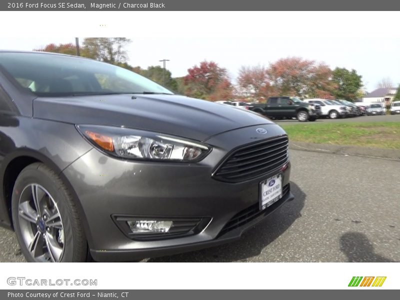 Magnetic / Charcoal Black 2016 Ford Focus SE Sedan