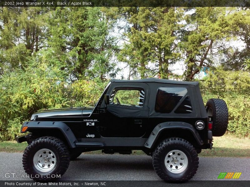 Black / Agate Black 2002 Jeep Wrangler X 4x4