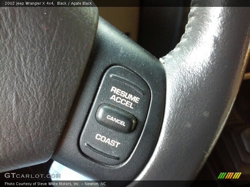 Black / Agate Black 2002 Jeep Wrangler X 4x4